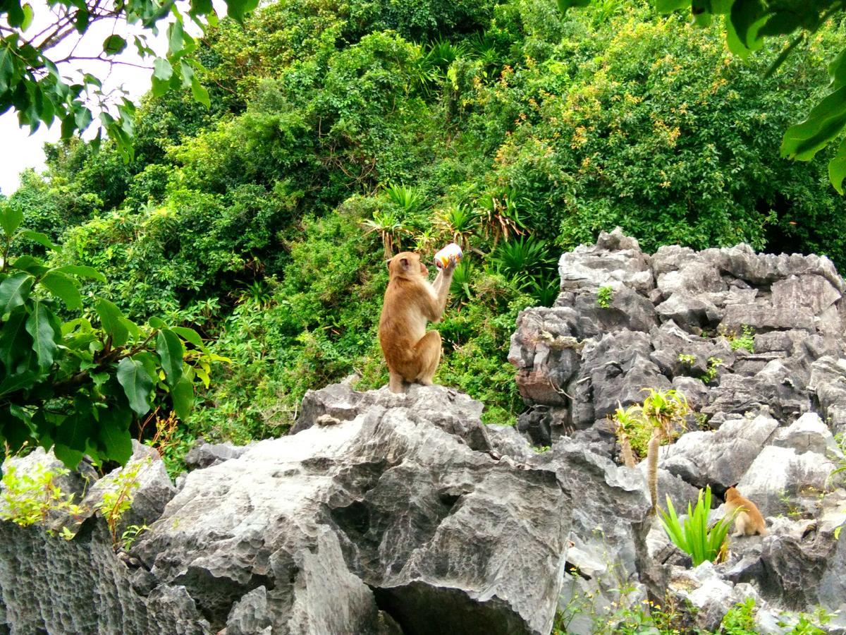 Anh Thuan Hotel 1 Cat Ba Island Eksteriør bilde